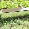 Sraigių tvora Sidabro 50 x 3,5 x 25 cm Cinkuota plienas