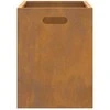 Ugnies dubuo Ruda 50 x 30 x 40 cm Plienas