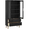 Stiklinis vitrininis kabinetas Juodas 90 x 35 x 175 cm