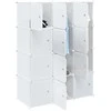 Storage Cube Organizer su 12 kubelių ir pakabinamų strypų PP