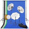 Studijos komplektas su šviestuvais/skėčiais/fonu/reflektoriumi