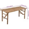 Sulankstomas sodo suoliukas su pagalvėle, 118cm, bambukas