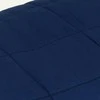 Sunki antklodė, mėlynos spalvos, 200x230cm, audinys, 13kg
