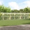 Šunų narvas 4 pcs Sidabro 8 x 2 x 2 m Galvanizuotas plienas