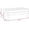 suoliukas su pagalve Šviesiai pilka 113 x 57 x 39 cm Aksomas