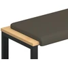 Suoliuko pagalvė Dirbtinė oda Pilka Gylis 35 cm
