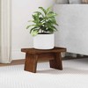Sūpynes Natūrali 29 x 20 x 17 cm Mahogany Medis