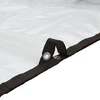 Tarpas Skaidrus 7 x 5 m PE
