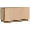 TV staliukas Televizoriaus spintelė Amatininkų ąžuolas 100 x 38 x 49 cm