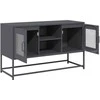 TV staliukas Televizoriaus spintelė, antracito, 100,5x39x60,5cm, plienas