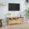 TV staliukas Televizoriaus spintelė, ąžuolo, 100x34,5x44,5cm, mediena