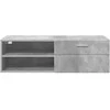 Medinė spinta 100,5 x 39 x 30 cm Betono pilka Apdirbta mediena