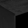 televizoriaus spintelė Juoda 100x33x46 cm Engineered Wood