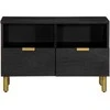 televizoriaus spintelė Juoda 70x33x46 cm Engineered Wood