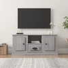 TV staliukas Televizoriaus spintelė, pilka ąžuolo, 100x35,5x45cm, mediena