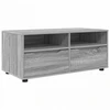 TV staliukas Televizoriaus spintelė Pilkas Sonoma 100 x 48 x 43 cm