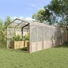 Augalų uždangalas Skaidrus 6 x 12 m PE