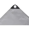 Tentas, pilkas, 650 g/m², 1,5x10m