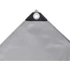 Tentas, pilkos spalvos, 2x3m, 650g/m²