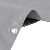 Tentas, pilkos spalvos, 2x3m, 650g/m²
