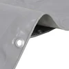Tentas, pilkos spalvos, 3x6m, 650g/m²
