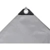 Tentas, pilkos spalvos, 4x6m, 650g/m²