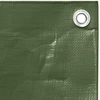 Tentas, žalios spalvos, 3x6m, 260g/m², HDPE