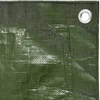 Tentas, žalios spalvos, 4x6m, 180g/m², HDPE