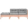 Dvivietė sodo sofa su pagalvėlėmis ir pakoja