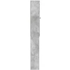 Tualeto spintelė ALKMAAR Betono pilka 66 x 25,5 x 190 cm
