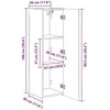 TV staliukas TV sieninė spintelė 2 pcs Betoninė 30 x 31 x 100 cm
