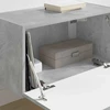 TV staliukas TV sieninė spintelė 60 x 31 x 29,5 cm Betono pilka