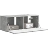 TV staliukas TV sieninė spintelė 78,5 x 30 x 29,5 cm Betono pilka