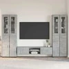 TV spintelių komplektas su stalčių FLORIN 3 pcs Betono pilka