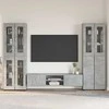 TV spintelių komplektas su stalčių FLORIN 3 pcs Betono pilka