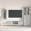 TV spintelių komplektas su stalčių FLORIN 3 pcs Betono pilka