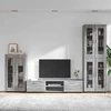 TV spintelių komplektas FLORIN 3 vnt. Pilkas Sonoma