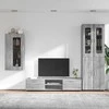 TV spintelių komplektas FLORIN 3 vnt. Pilkas Sonoma