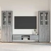 TV spintelių komplektas su stalčių FLORIN 3 pcs Pilkas Sonoma
