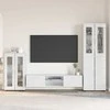 TV spintelių komplektas FLORIN 3 pcs Aukštai blizganti balta