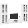 TV spintelių komplektas FLORIN 3 pcs Balta Apdirbta mediena