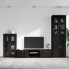 TV spintelių komplektas FLORIN 3 pcs Juoda Apdirbta mediena