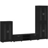 TV spintelių komplektas FLORIN 3 pcs Juoda Apdirbta mediena
