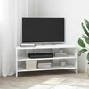 TV staliukas KampinėTVspintelė Balta 102x40,5x45cm Apdirbta mediena