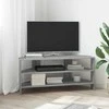 TV staliukas KampinėTVspintelė Pilkas Sonoma 102x40,5x45cm Apdirbta mediena