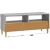 TV staliukas LED televizoriaus spintelė ARNHEM 100 x 35 x 43 cm Pilka Sonoma