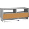 TV staliukas LED televizoriaus spintelė EDE 100 x 35 x 43 cm Pilka Sonoma