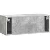TV staliukas Sieninė TV spintelė Betono pilka 78,5 x 31 x 30 cm