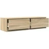 TV staliukas Televizoriaus spintelė Sonoma ąžuolas 100 x 31 x 25,5 cm
