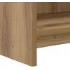 TV staliukas Televizoriaus spintelė 100 x 33 x 47 cm Artisano ąžuolo